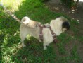 /album/jarry/dsc01393-jpg/