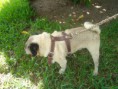 /album/jarry/dsc01397-jpg/
